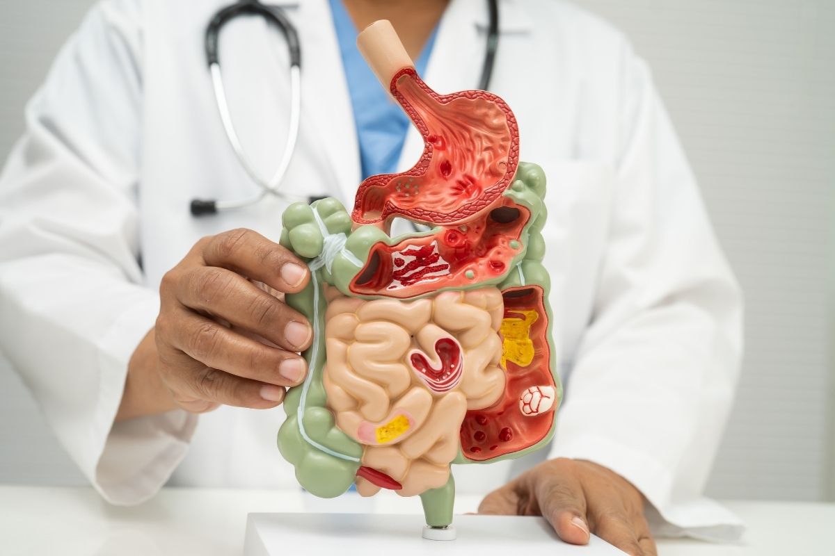 enzyme hỗ trợ tiêu hóa trong hệ tiêu hóa con người