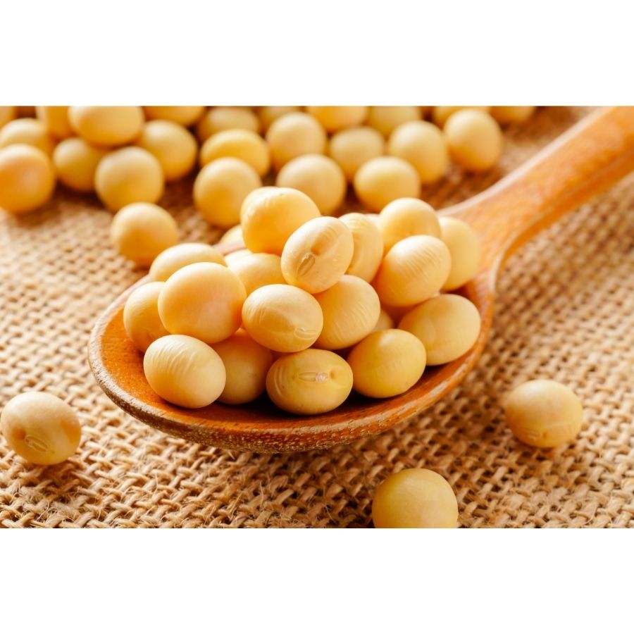 Protein đậu nành cô lập là nguồn protein thực vật tinh khiết, thường được sử dụng trong các sản phẩm bổ sung dinh dưỡng, góp phần hỗ trợ nhu cầu protein của cơ thể.
