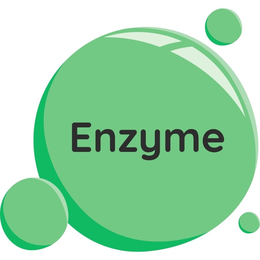 Nền tảng tạo nên ENVI ENZYME